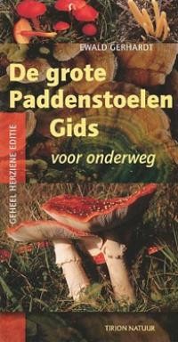 DE GROTE PADDESTOELENGIDS VOOR ONDERWEG